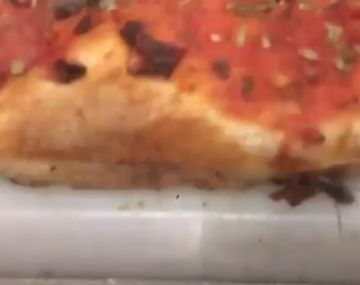 La higiene te la debo: un video muestra cucarachas en una conocida pizzería porteña