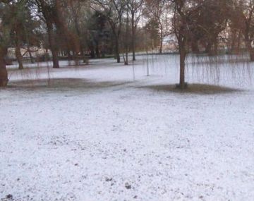 Por la ola de frío polar