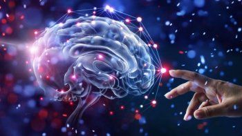 Cómo son los ejercicios para frenar el deterioro cognitivo y que son beneficiosos para la salud Cómo son los ejercicios para frenar el deterioro cognitivo y que son beneficiosos para la salud