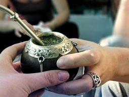 la yerba mate podria prevenir el mal de parkinson la yerba mate podria prevenir el mal de parkinson