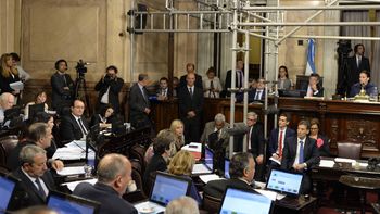 el senado convirtio en ley el uso medicinal de la marihuana el senado convirtio en ley el uso medicinal de la marihuana