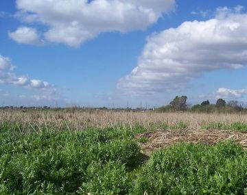 Así es Santa Catalina