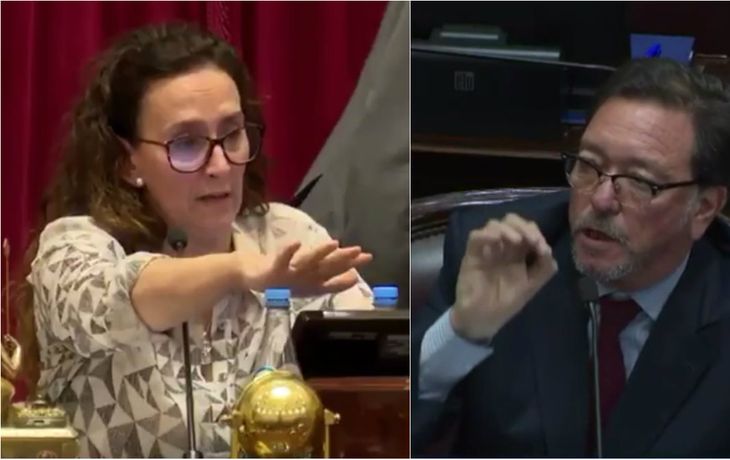 Tenso cruce entre Michetti y Guastavino