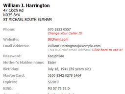 Presentan una web que permite crear una identidad falsa