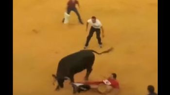 video: un toro furioso dejo desnudo a un hombre video: un toro furioso dejo desnudo a un hombre