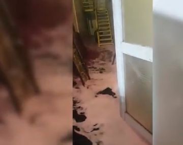 Otra vez el vino derramado para tristeza de los amantes de la vid