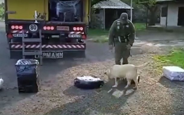 Corrientes: descubren enorme cantidad de drogas traficadas vía encomiendas