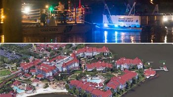 un caiman arrastra a nino de dos anos al agua en un complejo de disney un caiman arrastra a nino de dos anos al agua en un complejo de disney