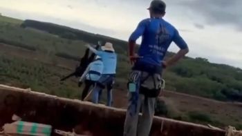 Rope jump fatal en Brasil: lanzaron a una mujer a un precipicio, olvidaron atarla y murió Rope jump fatal en Brasil: lanzaron a una mujer a un precipicio, olvidaron atarla y murió
