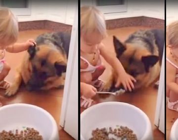 Le da de comer en la boca con cuchara a su perro