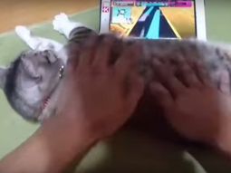 Usa al gato como joystick