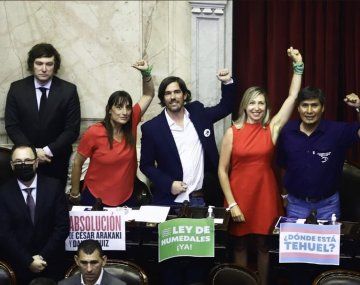 Milei y Del Caño están a dos bancas de distancia y estallaron los memes