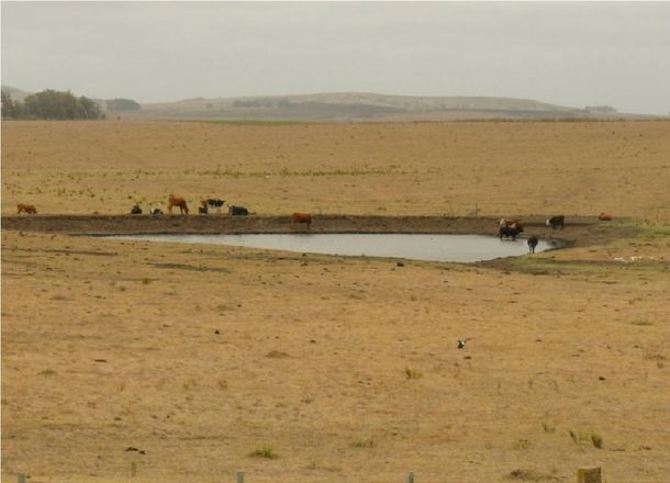 Con la sequía extrema en Uruguay