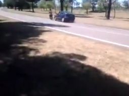 la diversion casi le cuesta la vida la diversion casi le cuesta la vida