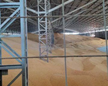 Decomiso récord de maíz en Campana: AFIP secuestró 8100 toneladas que iban a sacar del país ilegalmente