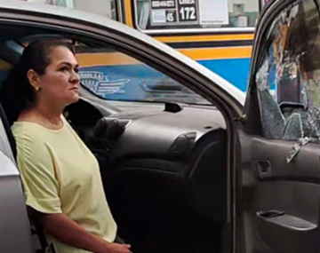 Ahora sucedió en Flores: rescataron a otro perro que dejaron encerrado en un auto