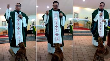 video: mira al perro cristiano que interrumpe una misa para jugar con el cura video: mira al perro cristiano que interrumpe una misa para jugar con el cura