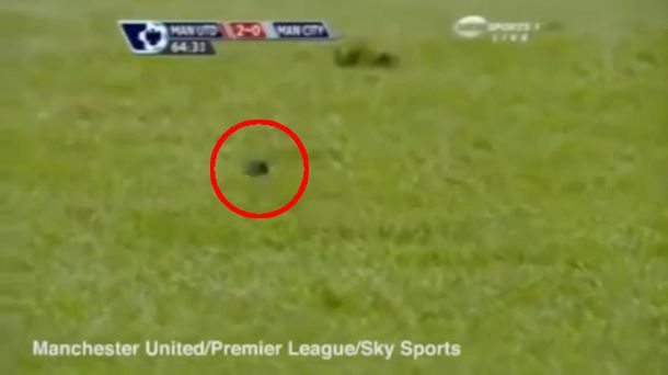 Insólito: el estadio del Manchester United fue invadido por ratones