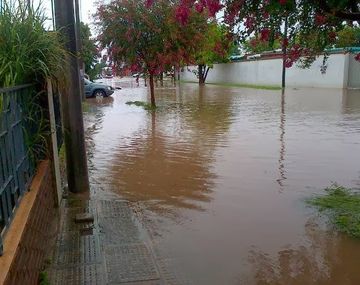 Foto gentileza: Notisanpedro