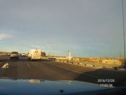 Un perro salta de la camioneta de su dueño en la autopista Un perro salta de la camioneta de su dueño en la autopista