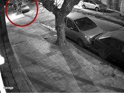 Qué reveló la autopsia al joven de 19 años que murió tras un ataque de viudas negras en Ciudadela