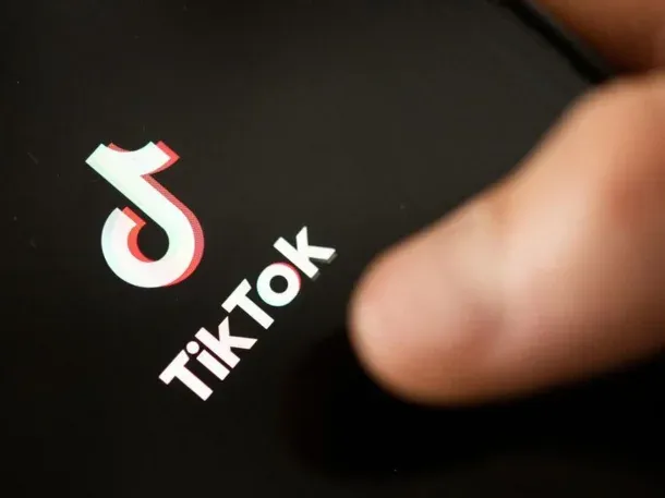 Lo más visto de 2023 en TikTok: canciones virales, perros brillantes y la mansión de una rana