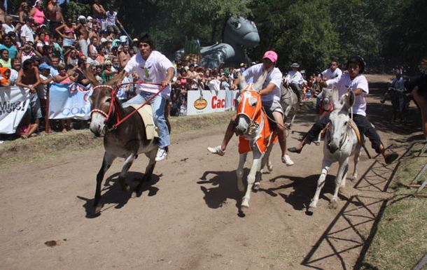Gran victoria de Despreciado en el Rally Mundial de Burros