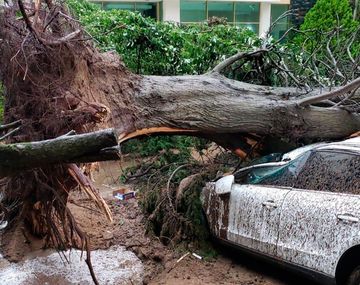 Un tornado sacudió Pinamar