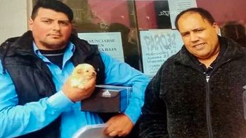 Gentileza:0223 Gentileza:0223