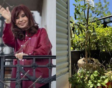 Cristina Kirchner compartió la historia del tomate peronista