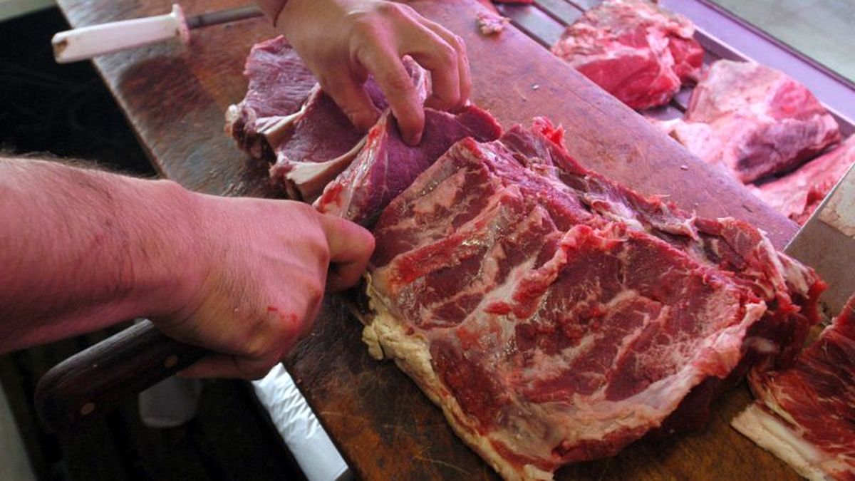 A los bifes: ¿Cuánto cuesta producir un kilo de carne?