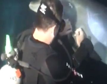 El conmovedor pedido de ayuda de delfín a un buzo