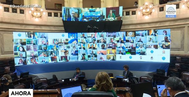 El Senado sesiona por primera vez de manera virtual