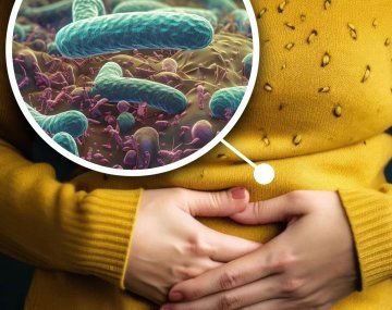 Qué es la bacteria silenciosa que afecta al 50 por ciento de los argentinos