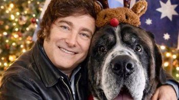 los posteos navidenos de milei: foto con ia abrazando a perro australiano y un nueva advertencia los posteos navidenos de milei: foto con ia abrazando a perro australiano y un nueva advertencia