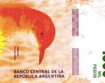 La próxima semana entrarán en circulación los billetes de mil