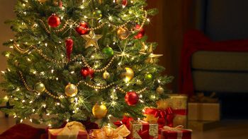 ¿cuanto costara armar el arbol de navidad? ¿cuanto costara armar el arbol de navidad?