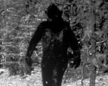 Anuncian nuevas pruebas de la existencia de Pie Grande