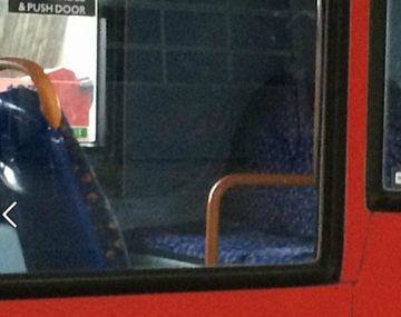 Abandonaron a un perro en un colectivo