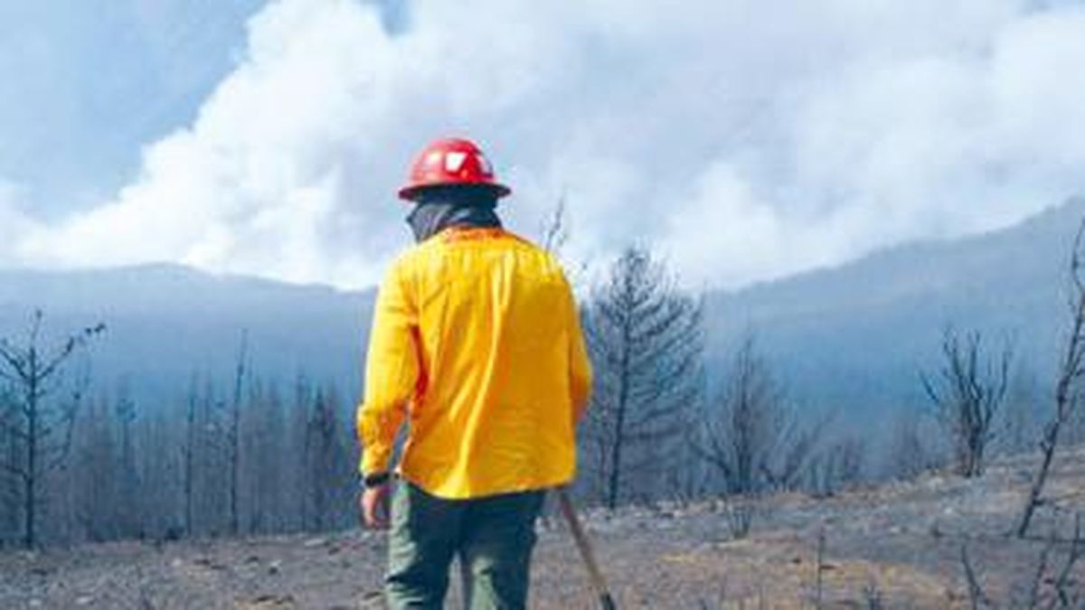 Desastre Ecológico Un Incendio Consume Unas Mil Hectáres De Bosques En