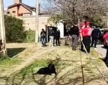 Hallan muerto a un adolescente y detienen a un compañero de escuela