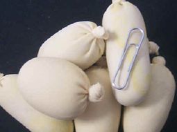 Capsulascocaina