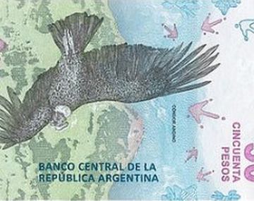 El cóndor patagónico, el nuevo protagonista de los billetes de 50 pesos