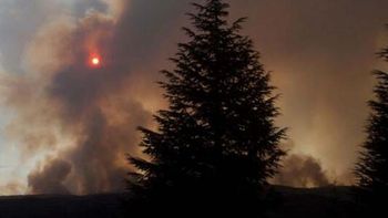 Foto gentileza: Twitter @marcelocandini. Foto gentileza: Twitter @marcelocandini.