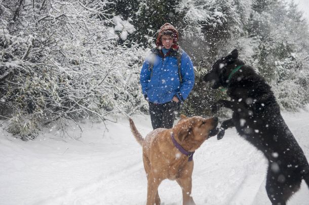 La Cordillera, cubierta de blanco: las fuertes nevadas provocan inconvenientes en varias provincias