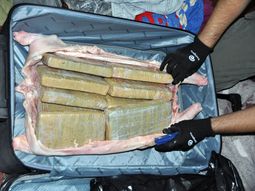 Hallan 14 kilos de marihuana dentro de un cerdo faenado