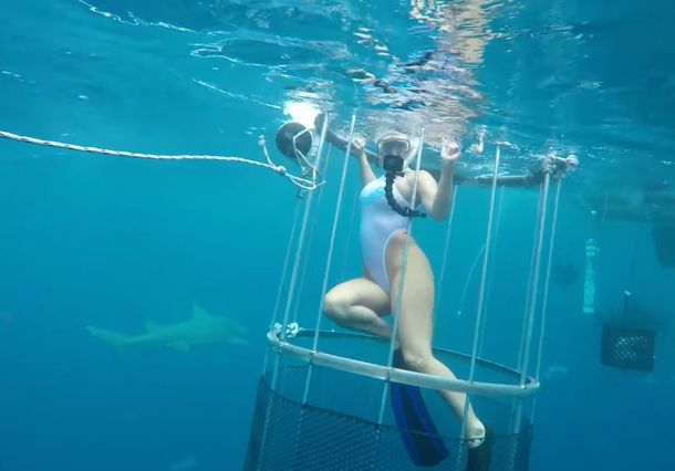 La actriz Molly Cavalli fue atacada por un tiburón 