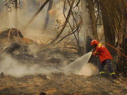 chubut: baja la intensidad del incendio chubut: baja la intensidad del incendio