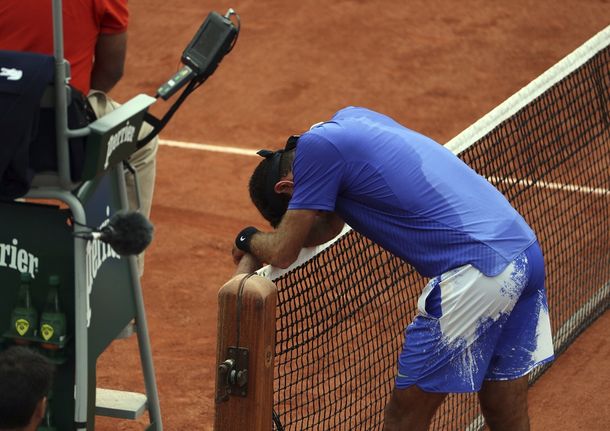 Del Potro cayó ante Andy Murray en Roland Garros