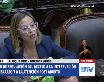 Legalización del aborto: Adriana Cáceres abogó por la maternidad deseada